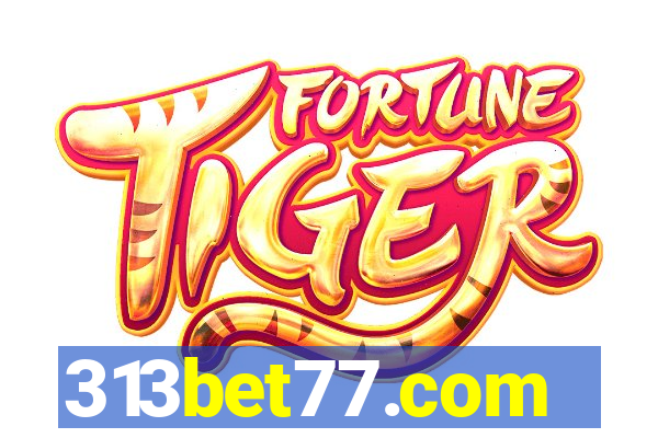 313bet77.com