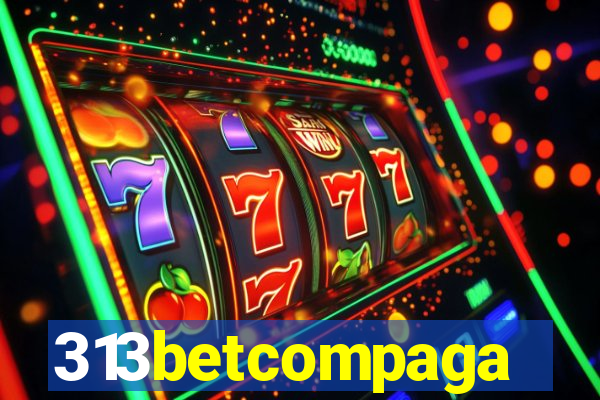 313betcompaga