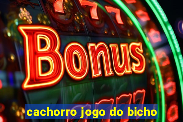 cachorro jogo do bicho