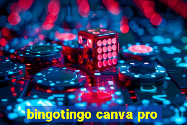 bingotingo canva pro