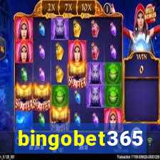 bingobet365