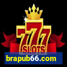 brapub66.com