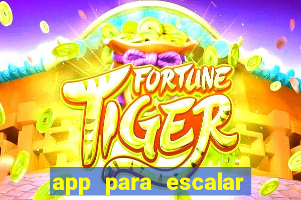 app para escalar time de futebol