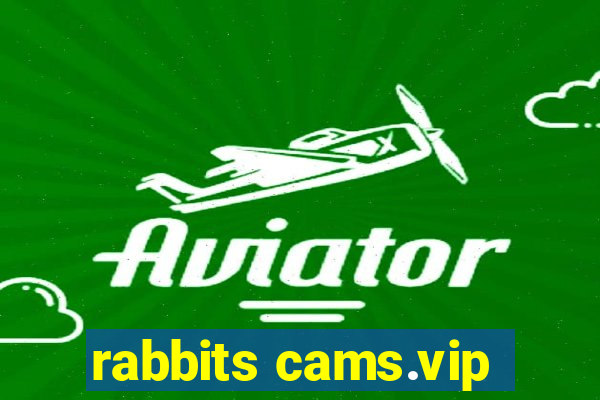 rabbits cams.vip