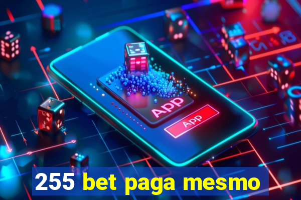 255 bet paga mesmo