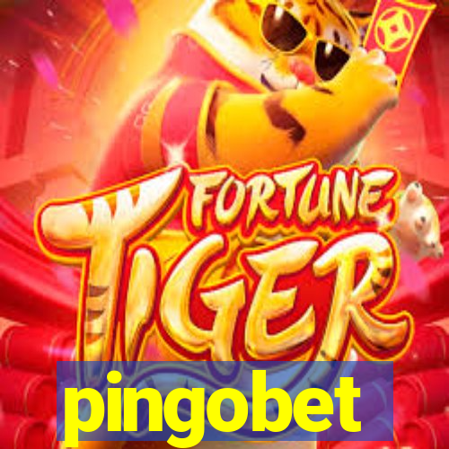 pingobet