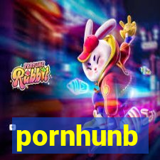 pornhunb