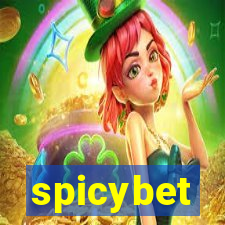 spicybet-3.com