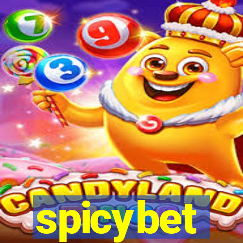 spicybet-3.com