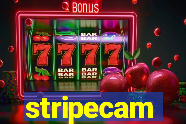 stripecam