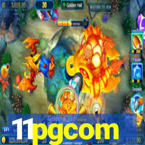 11pgcom