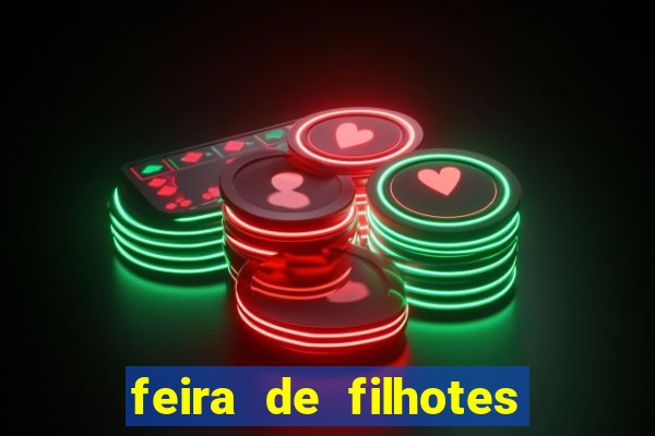 feira de filhotes porto alegre