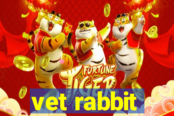 vet rabbit