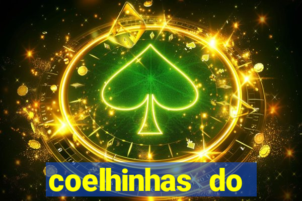 coelhinhas do brasil recife