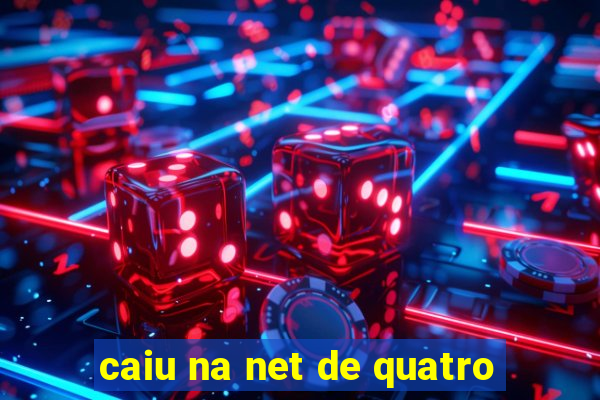 caiu na net de quatro