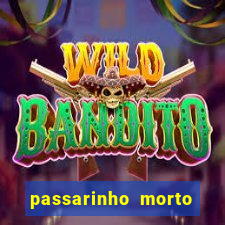 passarinho morto significado espiritual