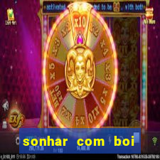 sonhar com boi branco jogo do bicho