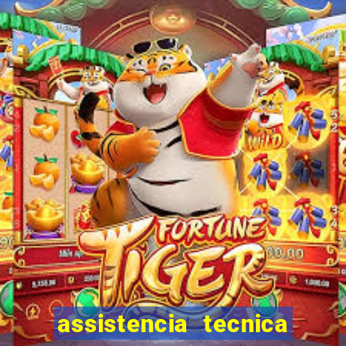 assistencia tecnica gringer porto alegre