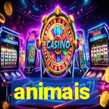 animais-pg.com