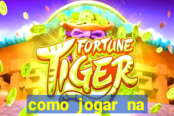 como jogar na loteca pela internet