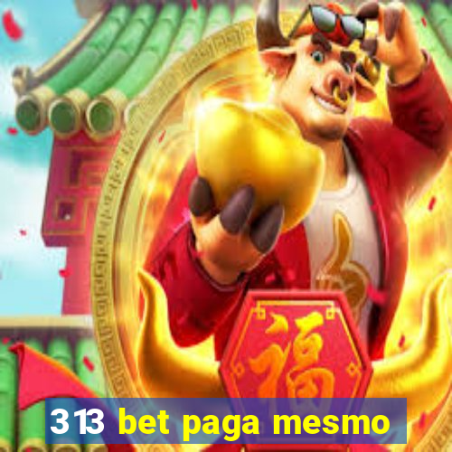 313 bet paga mesmo