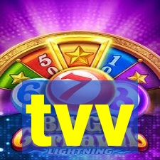 tvv-pg.com