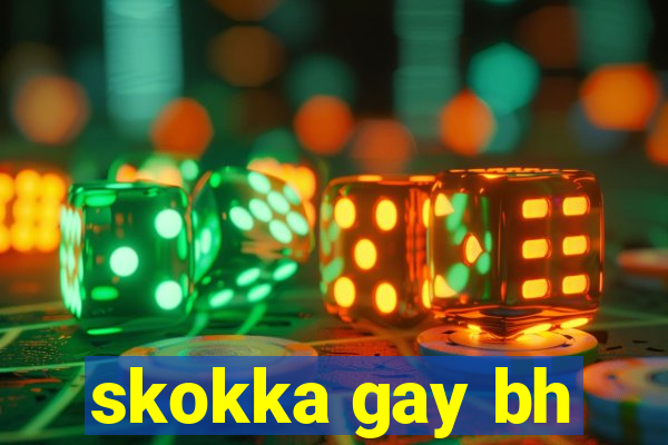 skokka gay bh