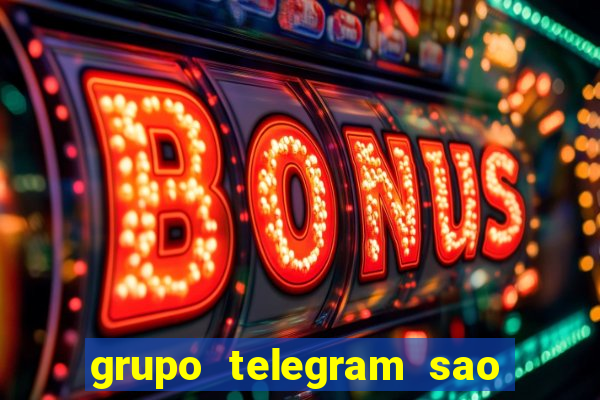 grupo telegram sao jose do rio preto