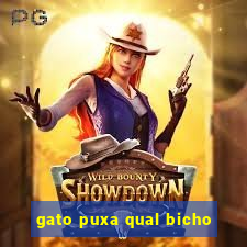 gato puxa qual bicho