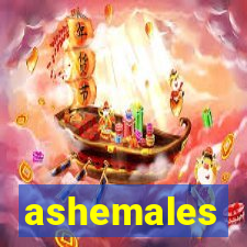 ashemales