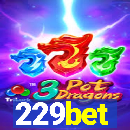 229bet