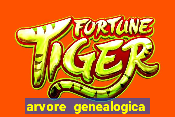arvore genealogica dos gracie