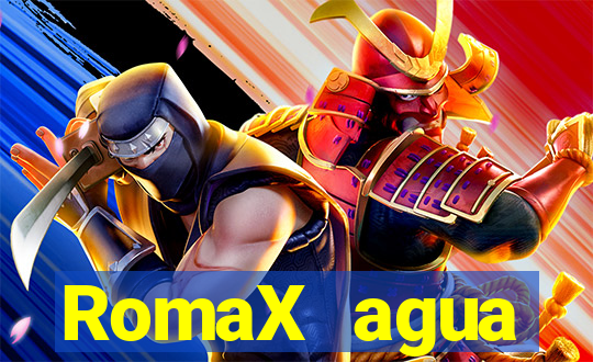 RomaX agua sanitaria fispq agua sanitaria romax