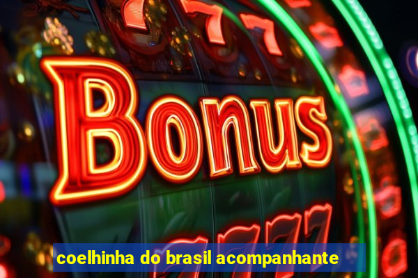 coelhinha do brasil acompanhante