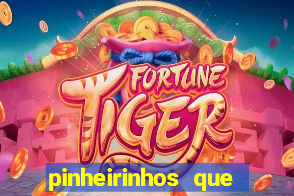 pinheirinhos que alegria cifra