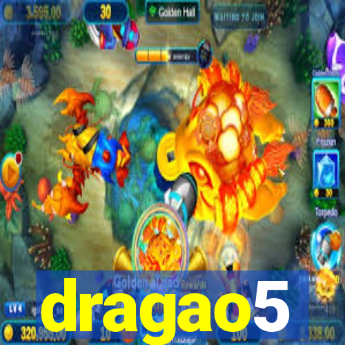 dragao5