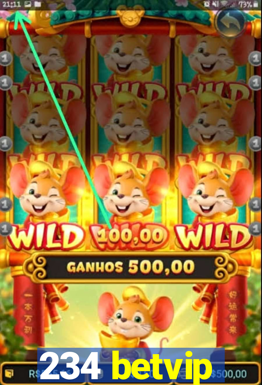 234 betvip