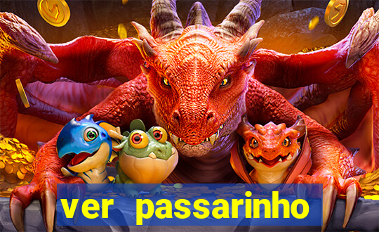 ver passarinho morto significado espiritual