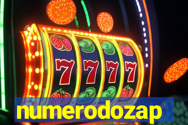 numerodozap
