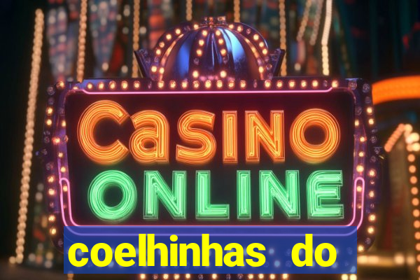 coelhinhas do brasil acompanhantes
